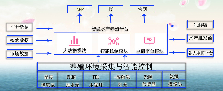 智能水产养殖系统