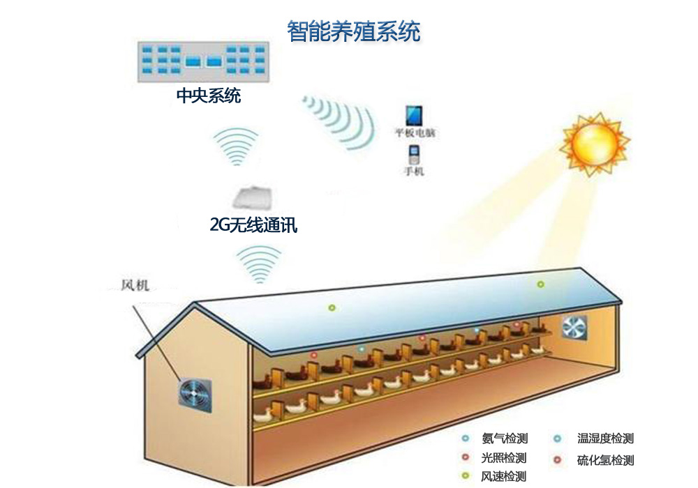 智能化养殖系统