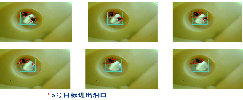 李震：智慧农业在果园虫害监测中的应用探索