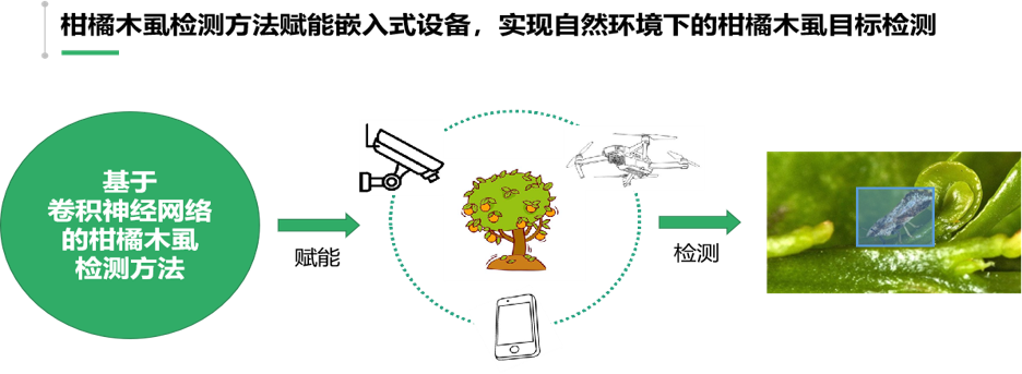 李震：智慧农业在果园虫害监测中的应用探索