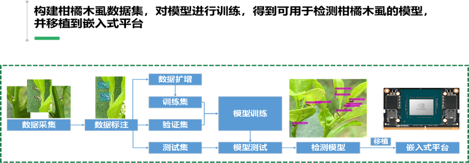 李震：智慧农业在果园虫害监测中的应用探索