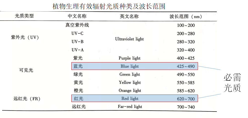 马稚昱：现代设施农业植物光环境调控技术及应用