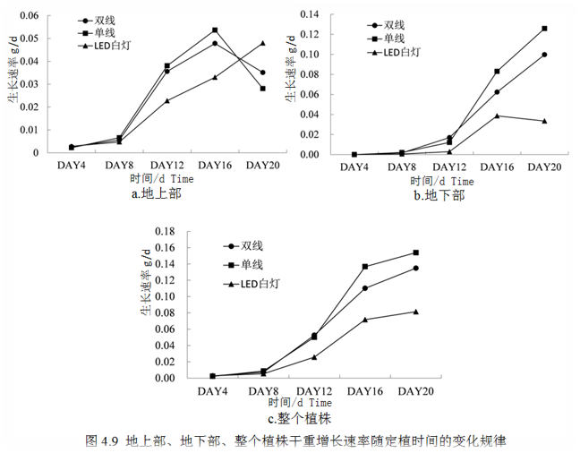 马稚昱：现代设施农业植物光环境调控技术及应用