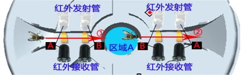 李震：智慧农业在果园虫害监测中的应用探索