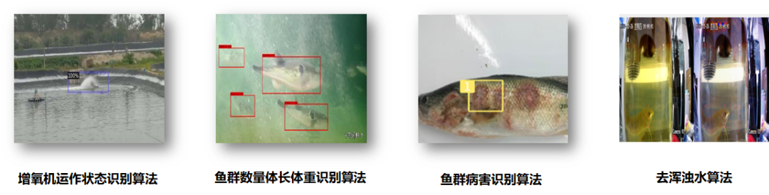 林蠡：智慧渔业与绿色水产养殖