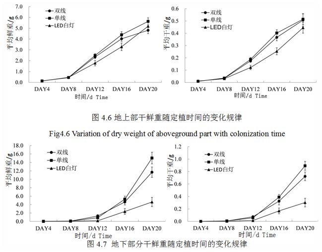 马稚昱：现代设施农业植物光环境调控技术及应用