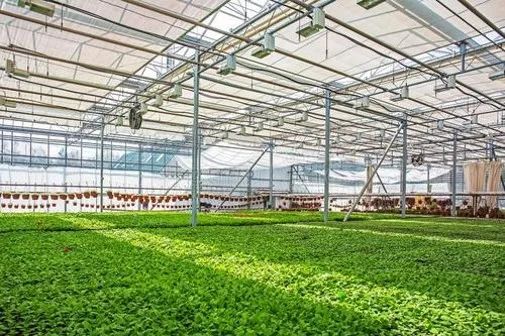 （转）马稚昱：现代设施农业植物光环境调控技术及应用