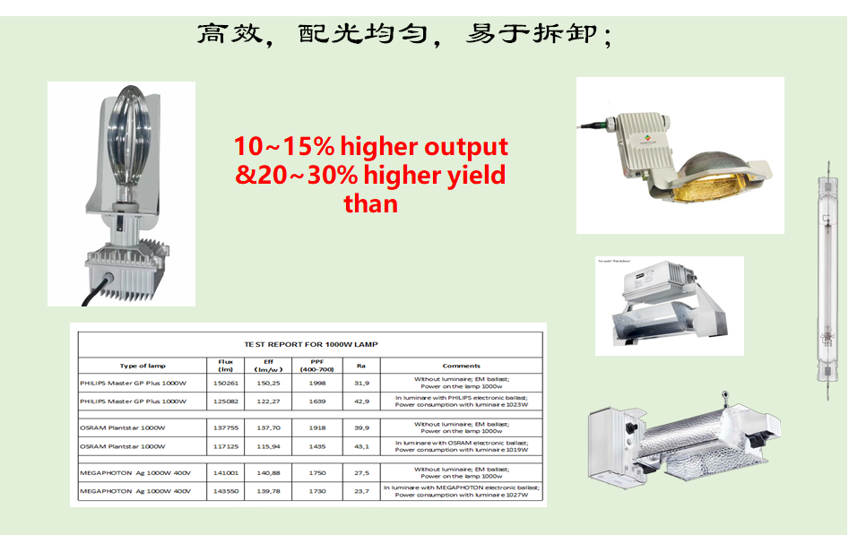 马稚昱：现代设施农业植物光环境调控技术及应用