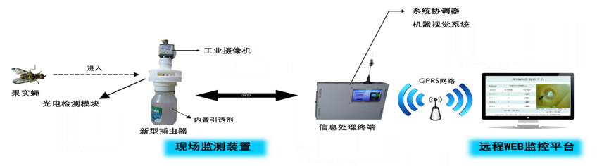 李震：智慧农业在果园虫害监测中的应用探索